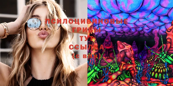 а пвп мука Верхний Тагил