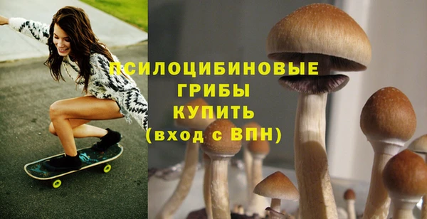 а пвп мука Верхний Тагил