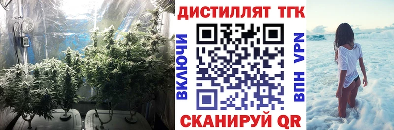Дистиллят ТГК концентрат  Саратов 